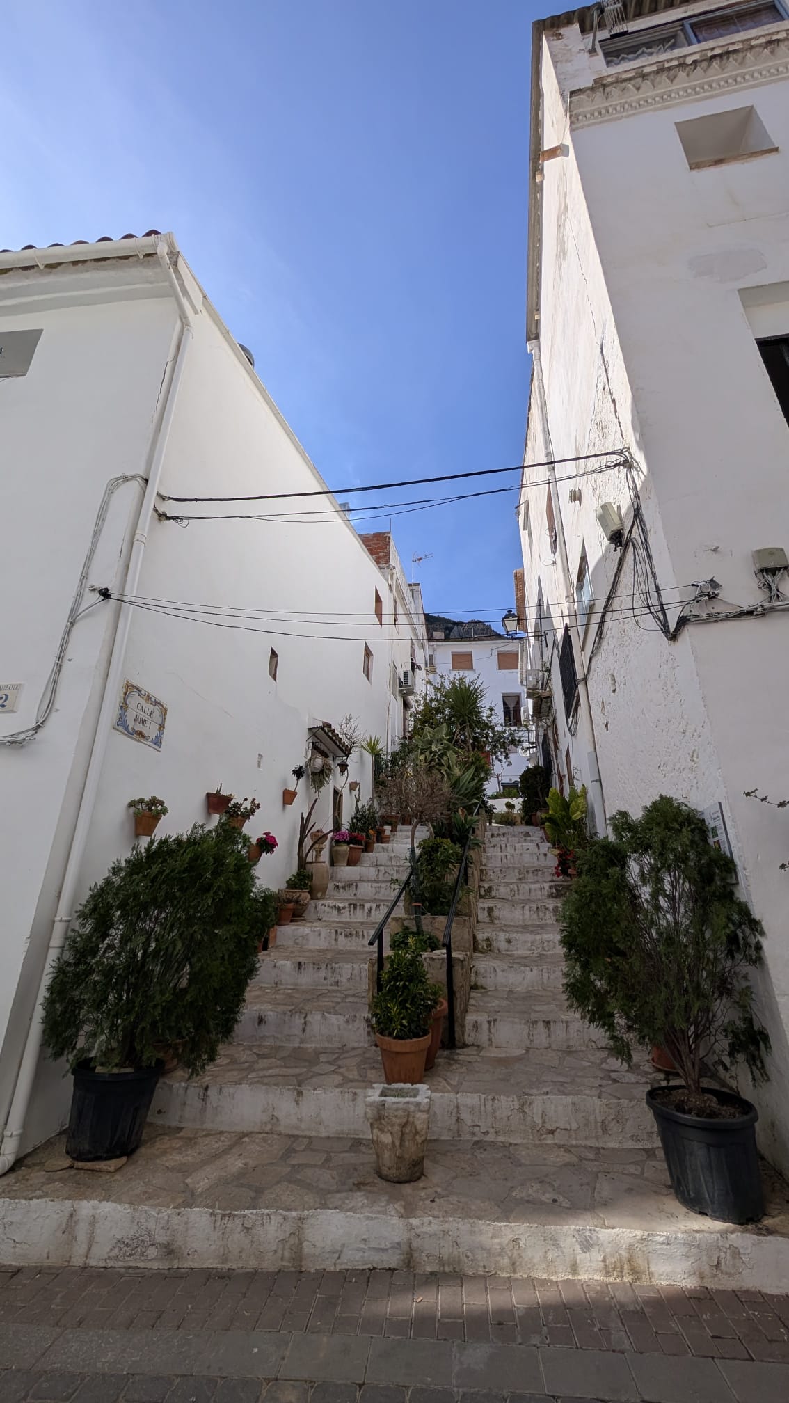 Callejón con macetas