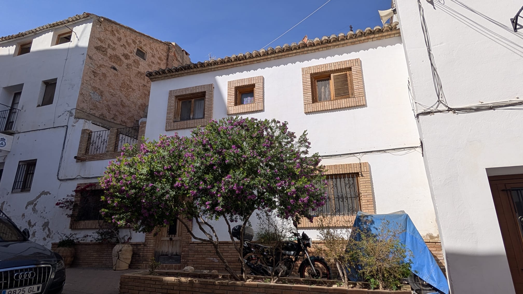 Plaza con buganvilla