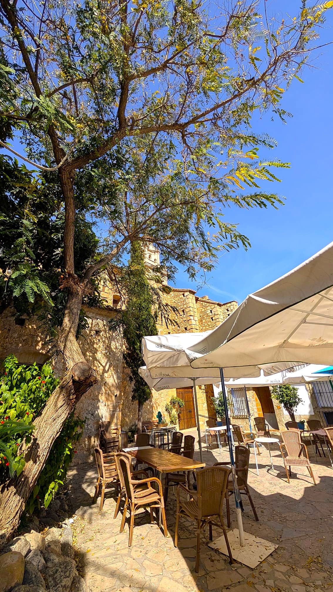 Terraza de La Placeta donde se celebra música en vivo